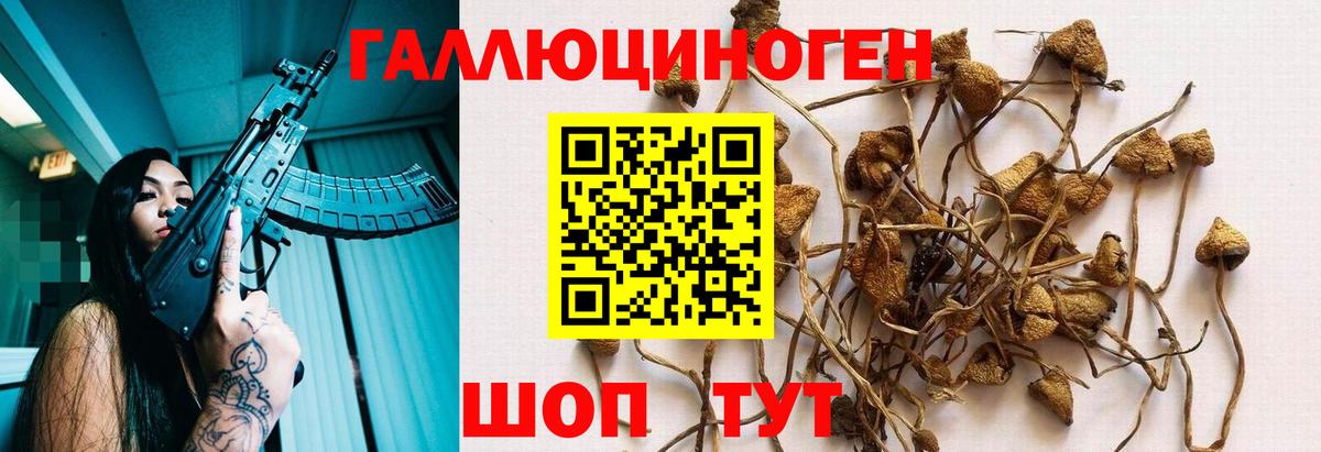 Галлюциногенные грибы MAGIC MUSHROOMS  Вход с VPN  Галлюциногенные грибы Psilocybe  Полевской 